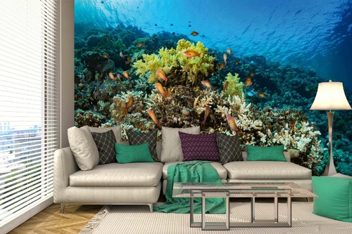 Vlies Fototapete - Wunderschöne Korallen 375 x 250 cm